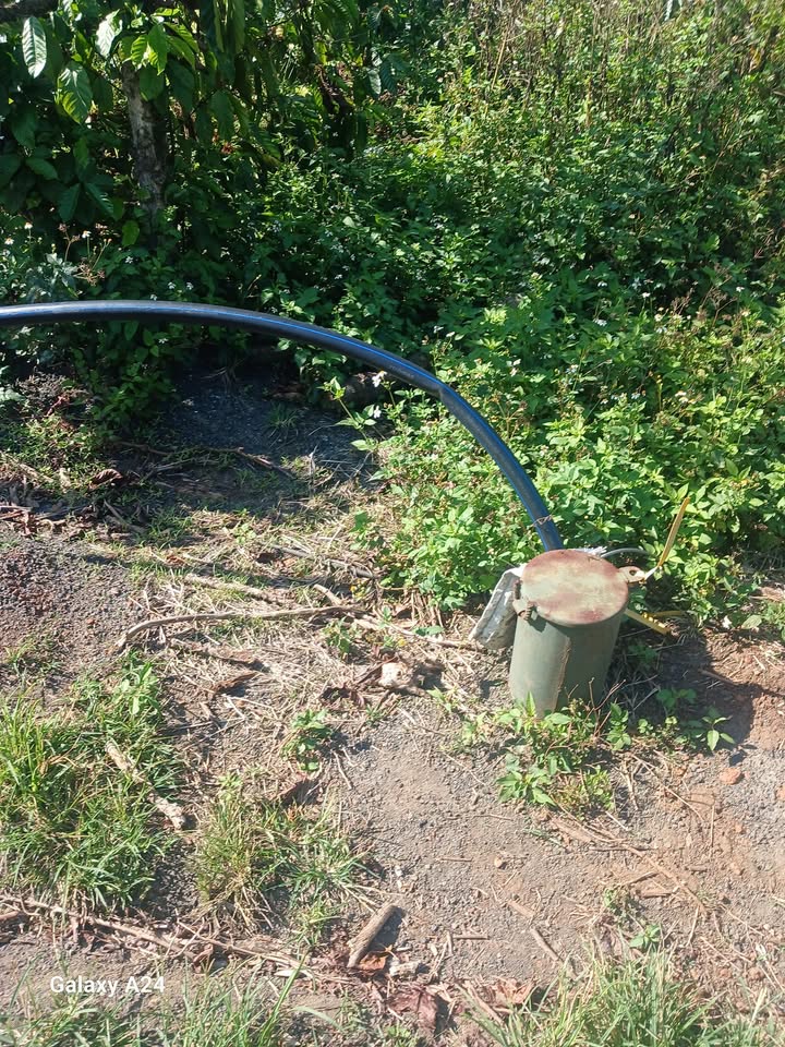 Đất vườn Đắk N'Drót 3,5ha giá 7,2 tỷ - Đầu tư dài hạn