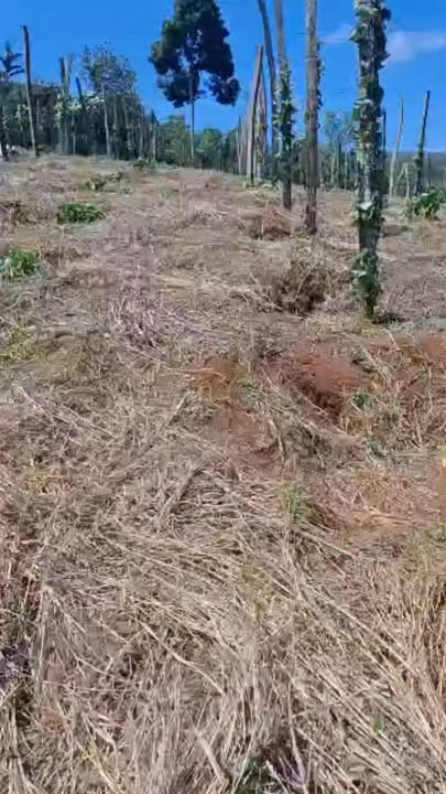 Đất nền Thuận An Đắk Mil 1.800m² 1,1 tỷ - Sổ đỏ chính chủ