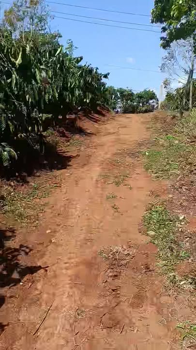 Đất vườn Đắk Sắk 1ha 3.5 tỷ - An yên tĩnh lặng