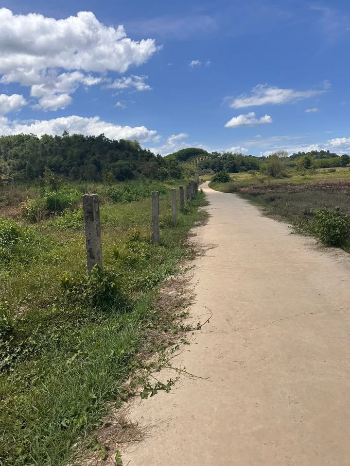 Đất Đạ Lây 2,2ha thỏa thuận - Sổ đỏ chính chủ