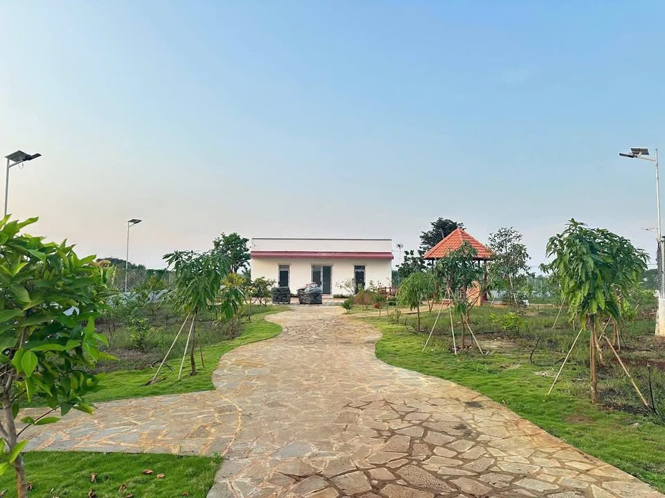 Nhà vườn Trảng Bom Đồng Nai 2.000m² 2.5 tỷ - Sinh thái xanh