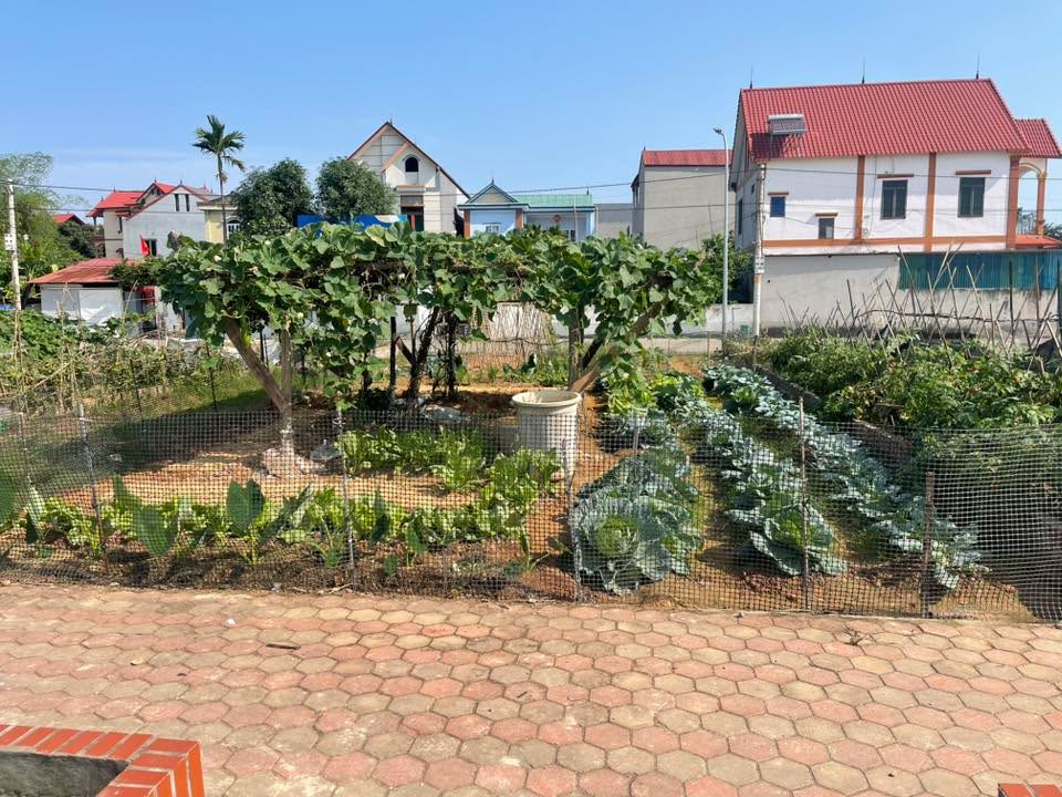 Đất nền Quang Tiến 200m² - Sổ đỏ chính chủ