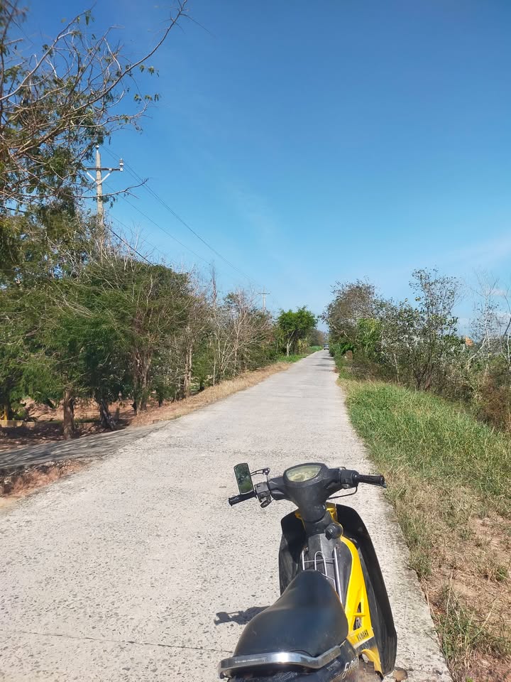 Đất nền Long An Long Hồ 30.000m² 3.6 tỷ - Pháp lý rõ ràng