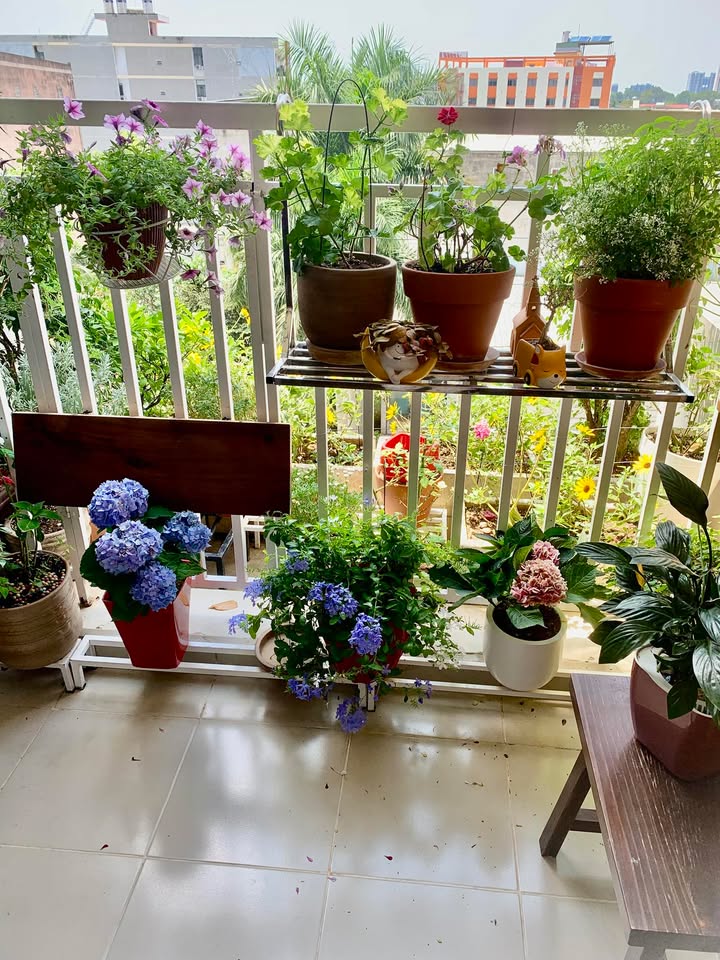 Căn hộ Thủ Đức Xa Lộ Hà Nội 2PN 7 triệu - View đẹp