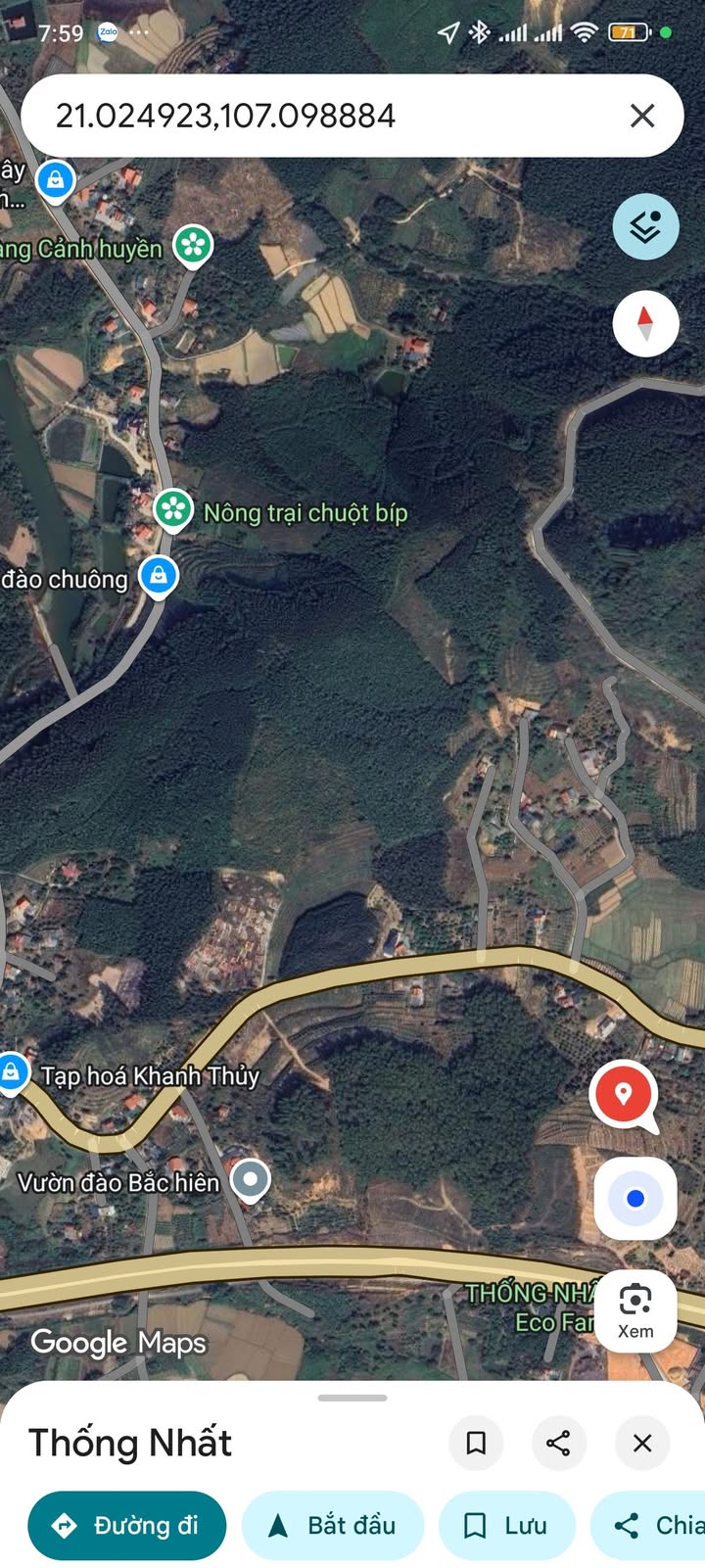 Đất rừng Thống Nhất 8ha 1,6 tỷ - Đầu tư dài hạn