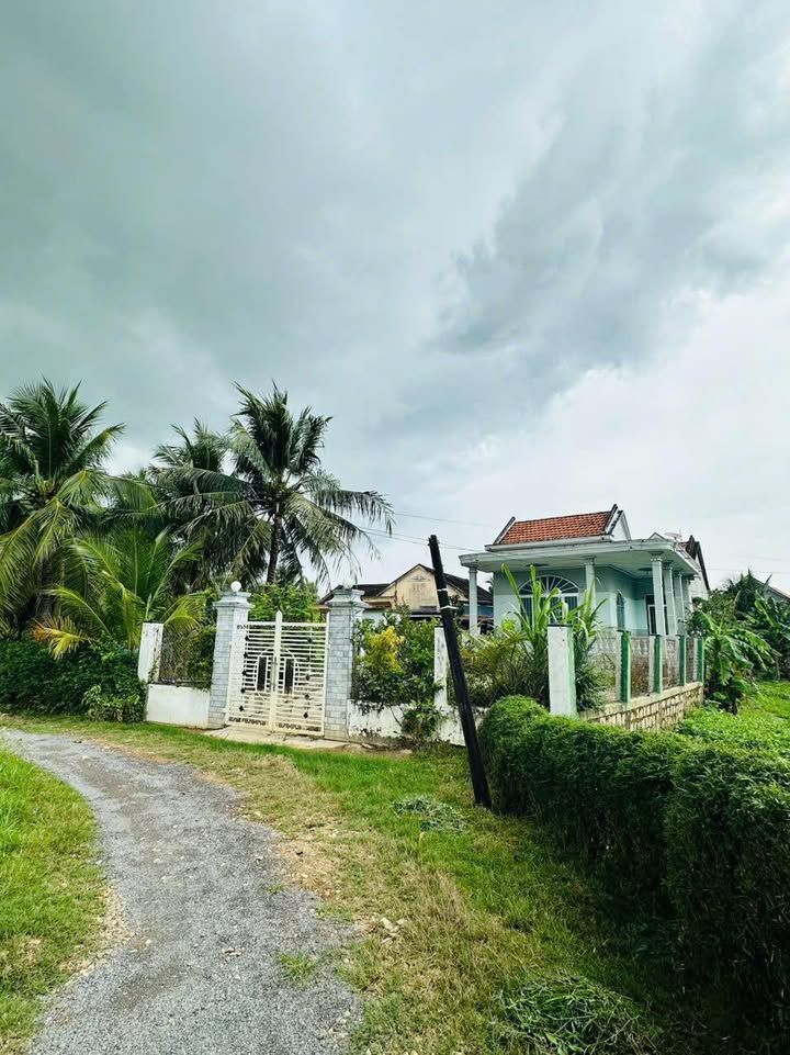 Đất nền Ninh Ích Ninh Hòa 260m² giá 870 triệu - Sổ đỏ chính chủ