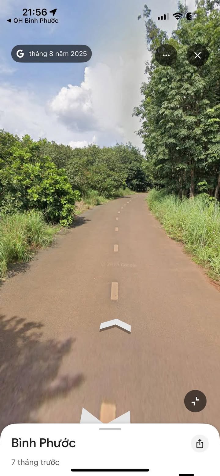 Đất nền Long Bình Phú Riềng 1ha 2 tỷ - Hạ tầng hoàn thiện