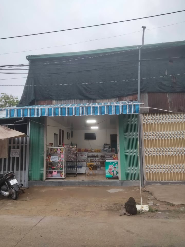 Nhà nguyên căn P3 Đà Lạt 2PN 8-10tr - Sẵn sàng ở ngay