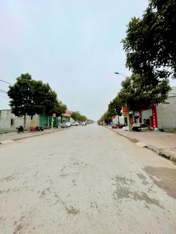 Đất Nga Yên Thanh Hóa 116m² giá đầu tư, đường ô tô