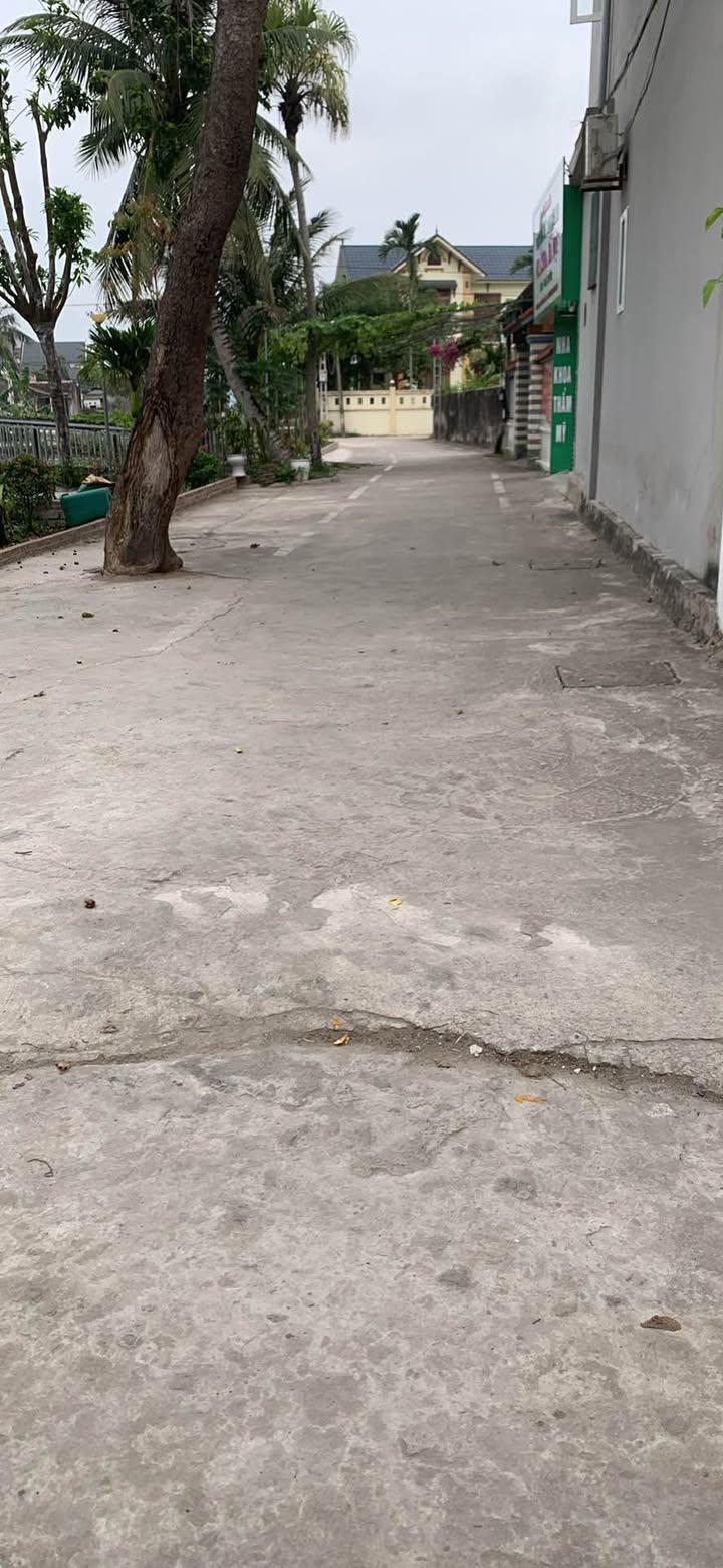 Kho xưởng Thọ Tân Triệu Sơn 125m2 - Hoạt động ngay