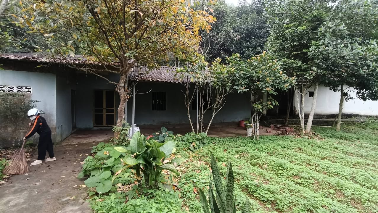 Trang trại Văn Phú 2.000m² 800k/tháng - Sinh thái xanh