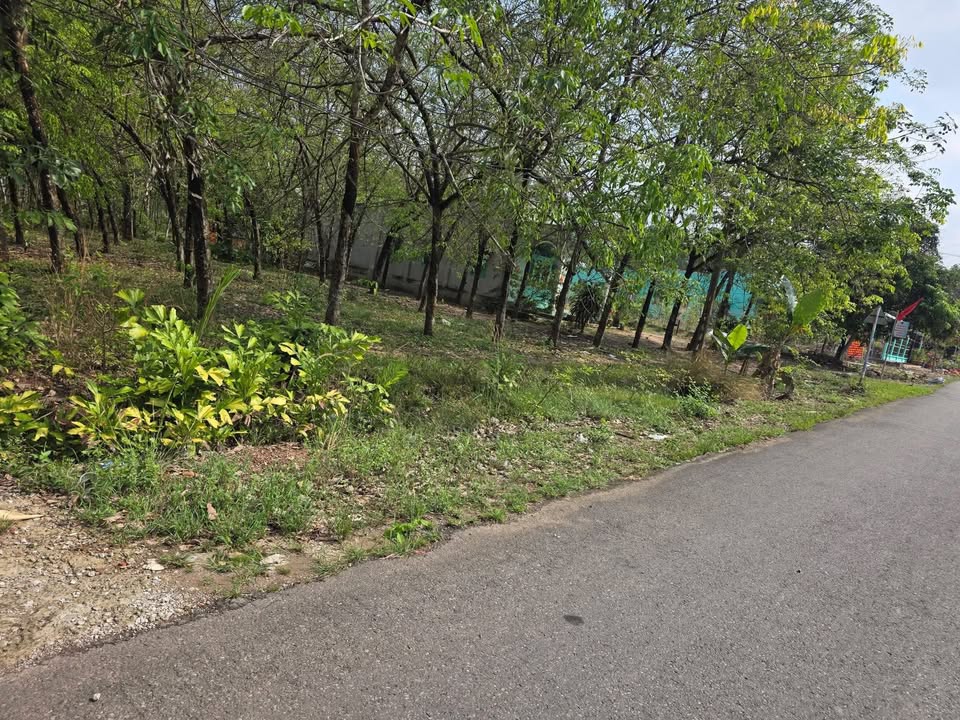 Đất nền Mỹ Phước, Bến Cát 1.000m² - Sổ đỏ chính chủ