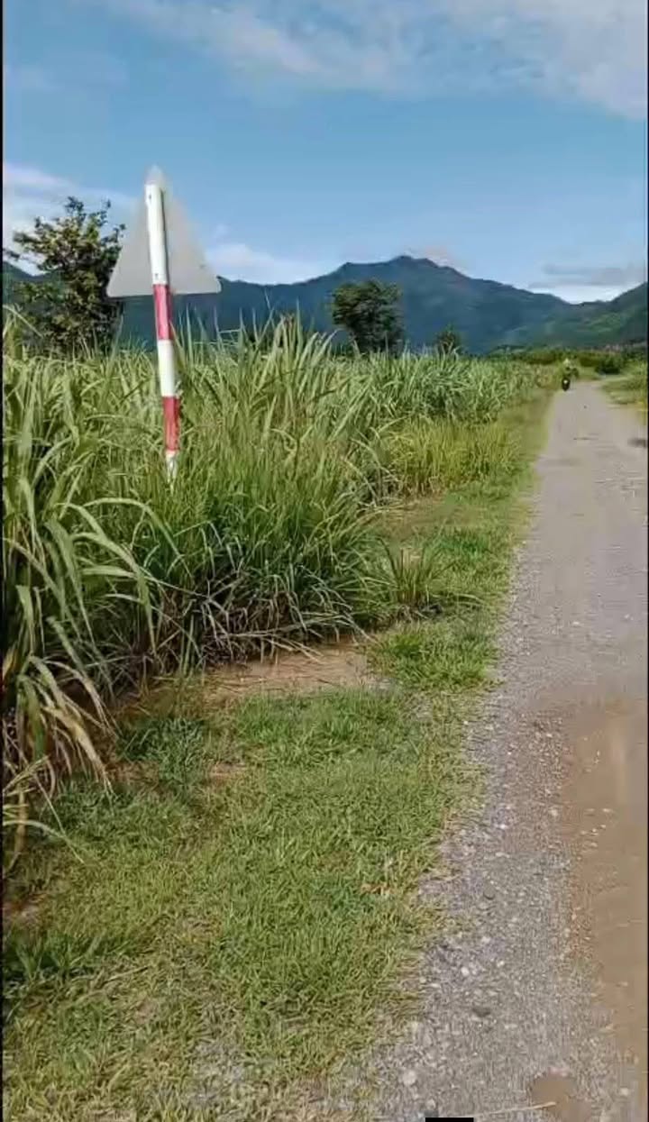 Đất nền Thanh Oai 582m² 109tr - Sổ đỏ chính chủ