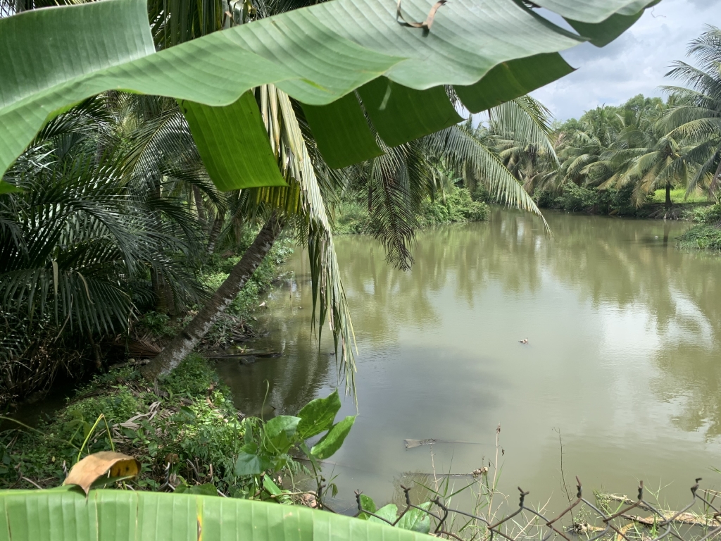 Đất nền Long An gần Tân Trụ 1ha 9.5 tỷ - Sổ đỏ chính chủ