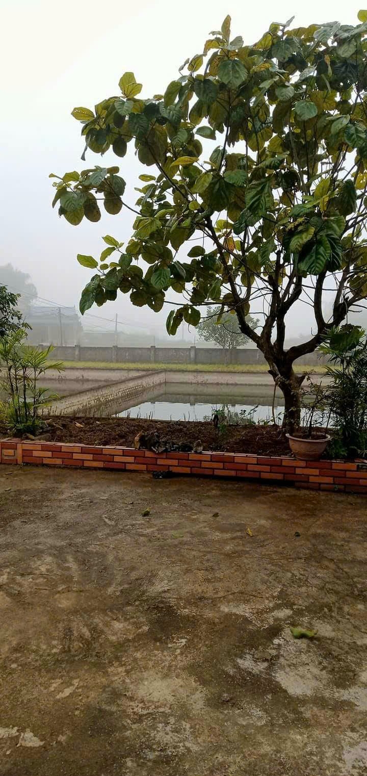 Đất trang trại Phú Cường Tân Lạc 4.000m² 4 tỷ - Sổ đỏ chính chủ