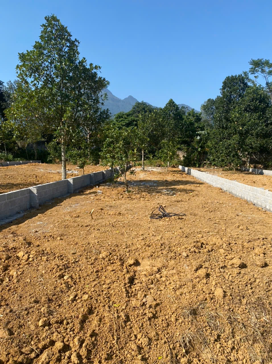 Đất nền Yên Bài, Ba Vì 150m² giá 1.65 tỷ - Sổ đỏ chính chủ!