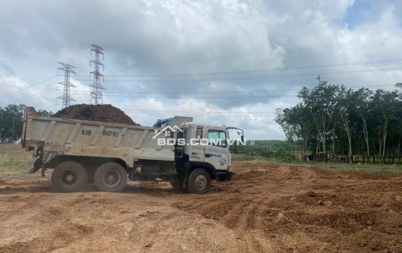 Đất trống CLN An Long 45000m² - Container thoải mái!