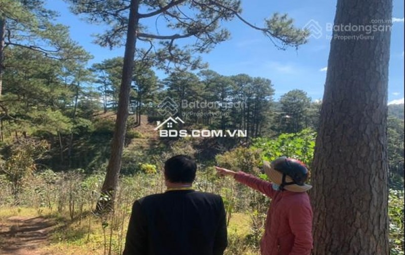 Đất vườn Xuân Trường Đà Lạt 10.660m² 9,9 triệu/tháng - Nghỉ dưỡng lý tưởng