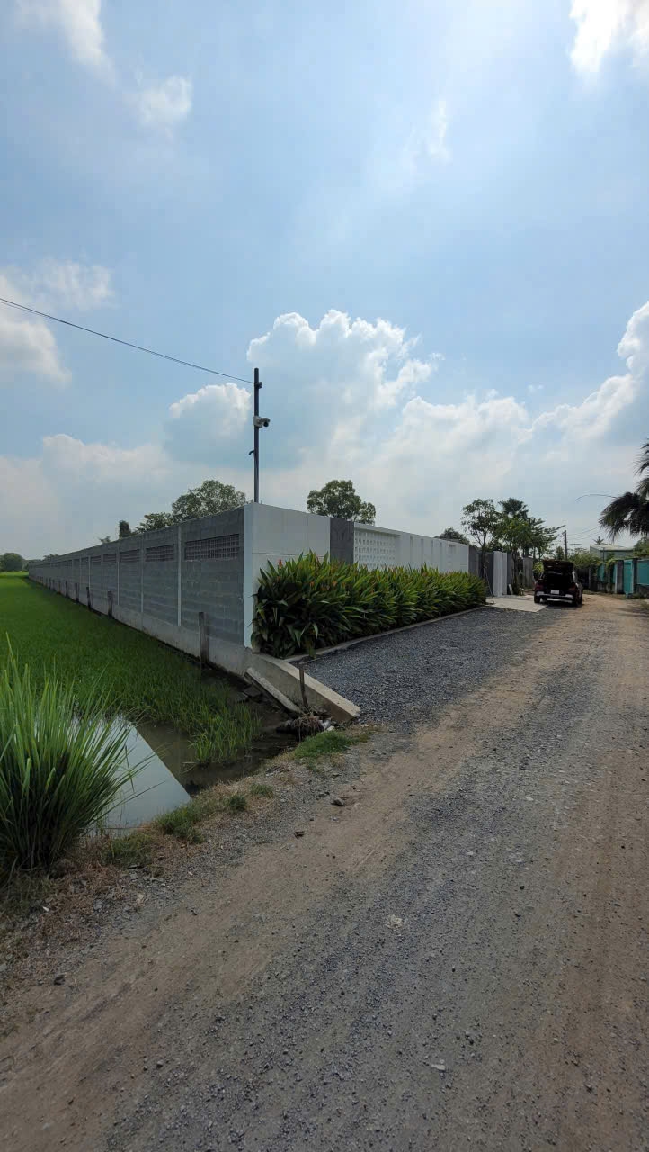 Đất vườn Phước Lợi Bến Lức 1.967m² 6,45 tỷ - Sinh thái xanh