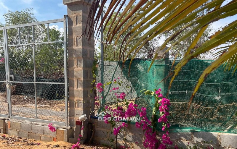 Đất nền Mũi Né Võ Nguyên Giáp 510m² 1,02 tỷ - Sổ đỏ chính chủ