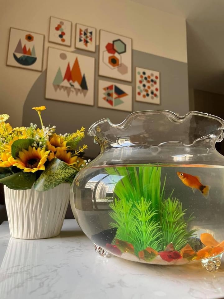 Căn hộ Vinhomes Ocean Park 55m² 3,6 tỷ - View đẹp tầng cao