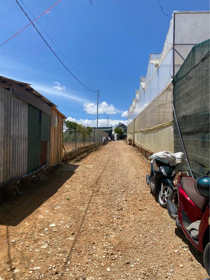 Đất nền Nguyễn Tử Lực Đà Lạt 500m² 6 tỷ - Sổ riêng nông nghiệp