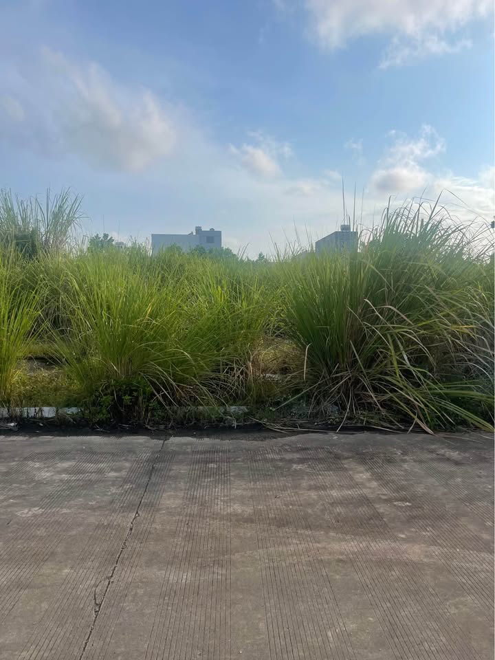 Đất nền Kalong Riverside Móng Cái 119m² - Tiềm năng tăng giá