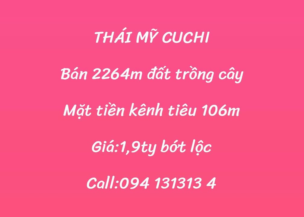 Đất Thái Mỹ Củ Chi 2.264m² 1,9 tỷ - Sổ đỏ chính chủ