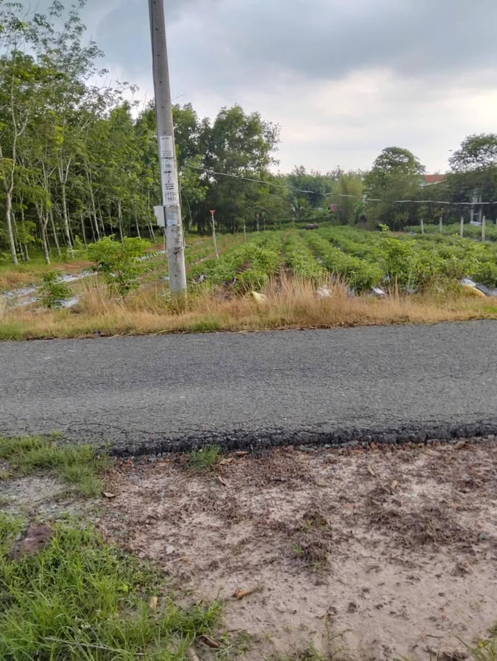 Đất nền Phú Mỹ Hưng Củ Chi 1.048m² 4 tỷ - Sổ đỏ chính chủ