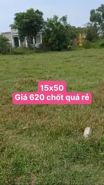 Đất nền An Ninh Đông 750m² 620 triệu - Sổ đỏ chính chủ