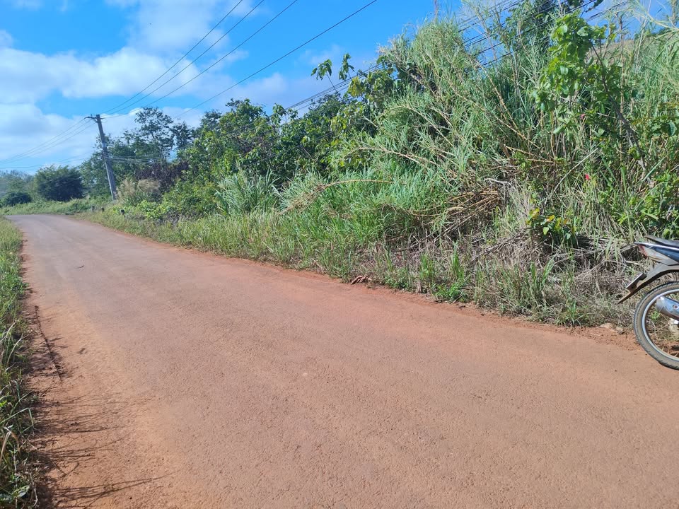 Đất vườn Gia Nghĩa 10.000m² giá 2,6 tỷ - Sổ đỏ chính chủ