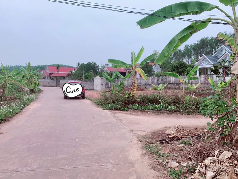 Đất nền Tân Thanh Lạng Giang 132m² 8xx - Sổ đỏ chính chủ