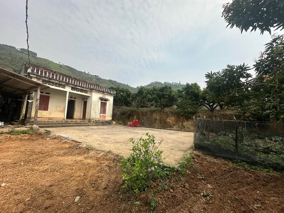 Đất vườn Kiên Lao 3.045m² hơn 1 tỷ - Sinh thái xanh