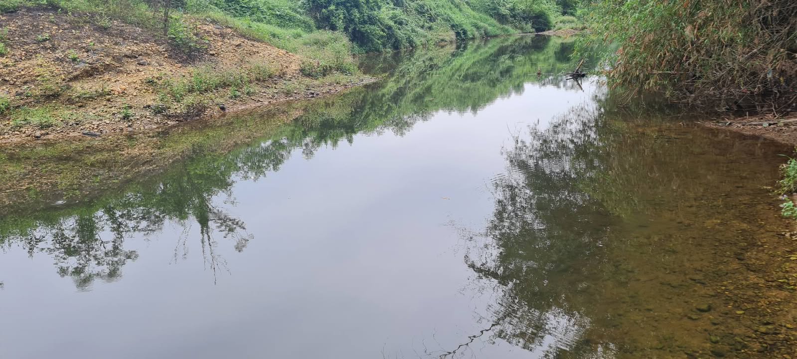 Đất nền Đồng Tâm Yên Thế 4.000m² 2.2 tỷ - Tiềm năng tăng giá