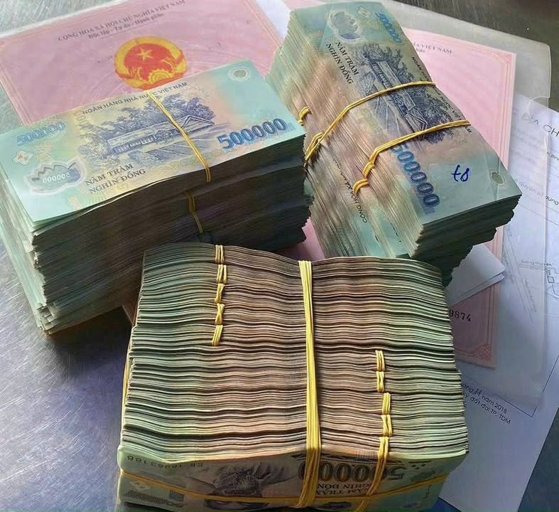 Đất nền Nguyễn Văn Bứa Hóc Môn 8.300m² 145 tỷ - Sổ đỏ chính chủ