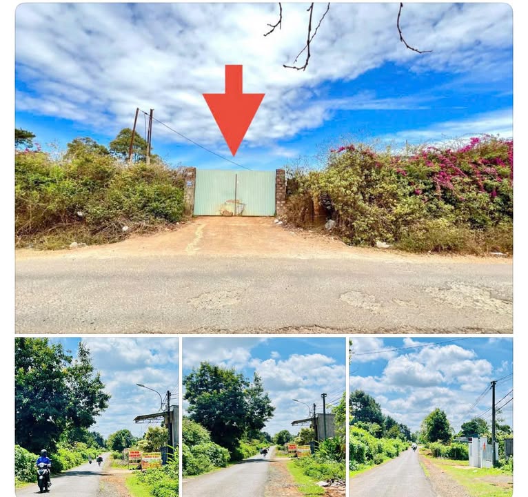 Đất Nguyễn Kiệm Pleiku 100m² - Sổ đỏ chính chủ