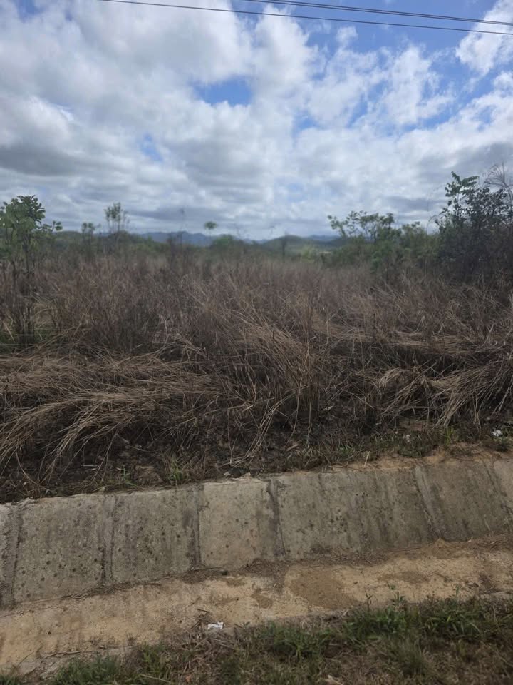 Đất nền QL19D Gia Lai 5280m² - Sổ đỏ chính chủ