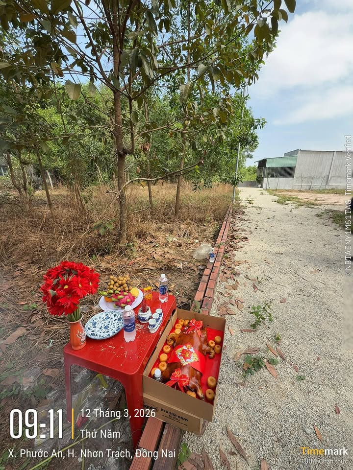 Đất nền Phước An Nhơn Trạch 90m² 2xxtr - Sổ đỏ chính chủ