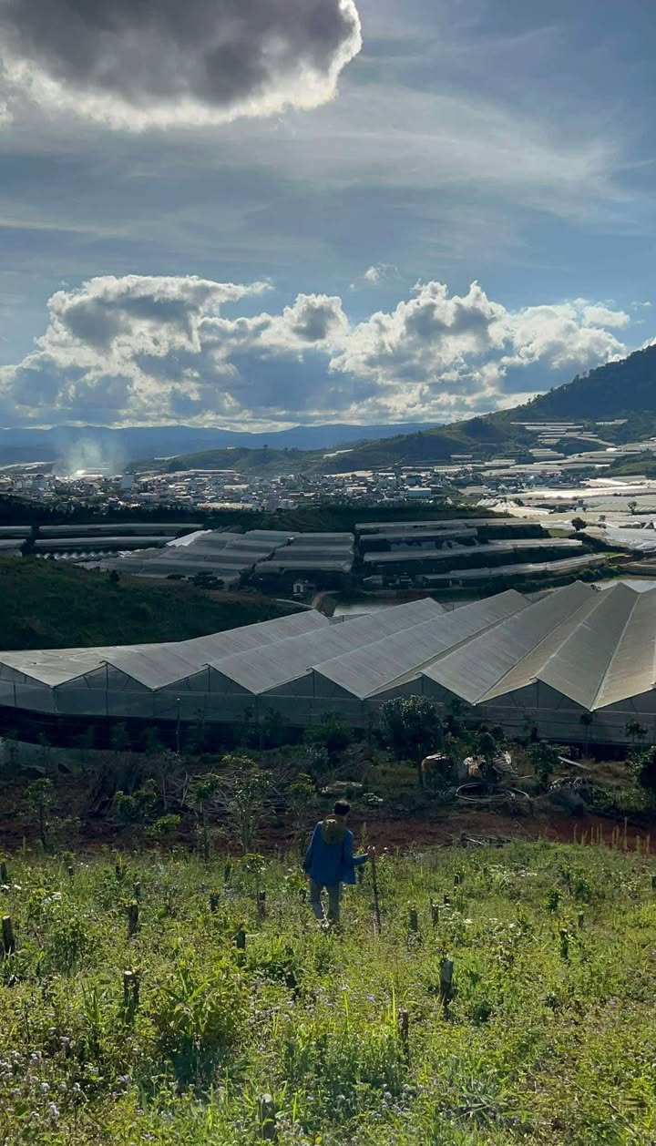 Đất vườn LangBiang Phường 8 1ha 1,1 tỷ/sào – Sổ hồng rõ ràng