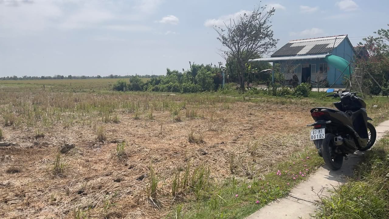 Đất nền Ấp Bưng Chông Tài Văn 345m² giá 160 triệu - Pháp lý rõ ràng