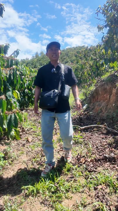 Đất vườn Phi Liêng 3.3ha 4 tỷ - Tiềm năng tăng giá