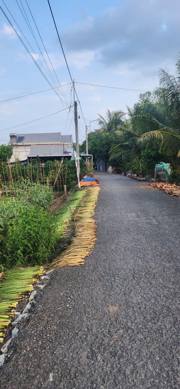 Đất nền Trường An Vĩnh Long 80m² 600 triệu - Sổ đỏ chính chủ