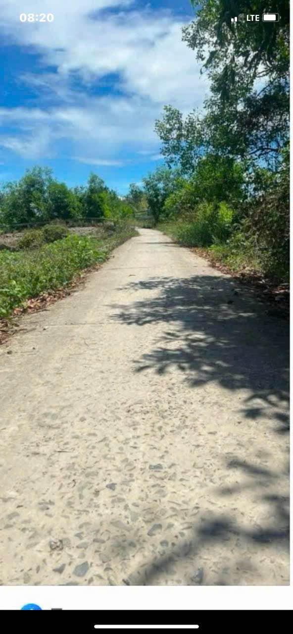 Đất ruộng Thành Trung 1.745m² 600 triệu - Đầu tư dài hạn