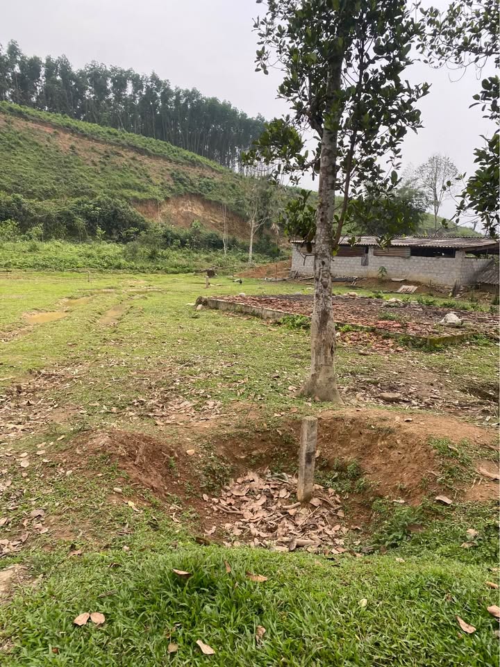 Đất nền Liên Xã Hương Xuân 175m² 700 triệu - Sổ đỏ chính chủ