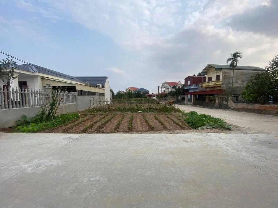 Đất nền Đức Chính Cẩm Giàng 60m² 1.5 tỷ - Sổ đỏ chính chủ