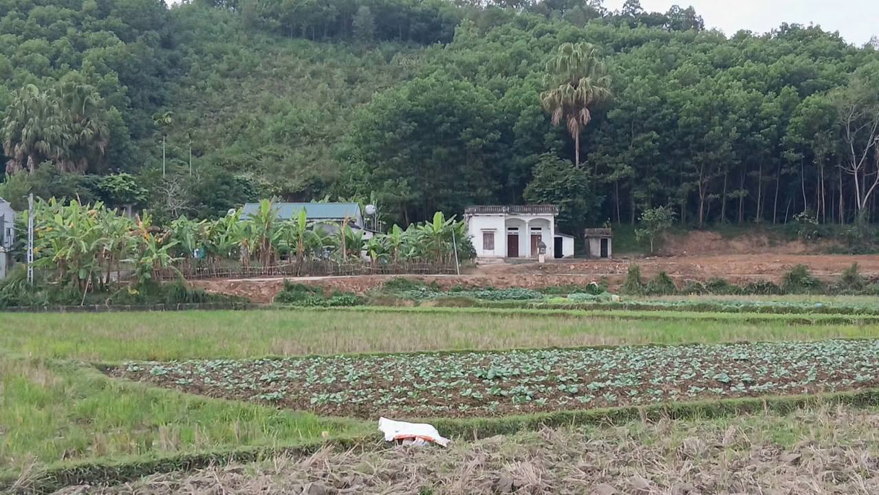 Đất nền Địch Quả Thanh Sơn 1085m² hơn 1 tỷ - Đường ô tô