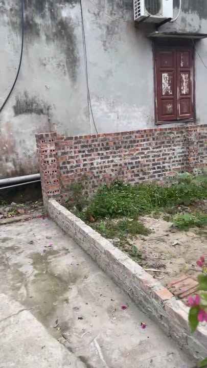 Đất thổ cư Yên Bài Ba Vì 100m² - Sổ đỏ chính chủ