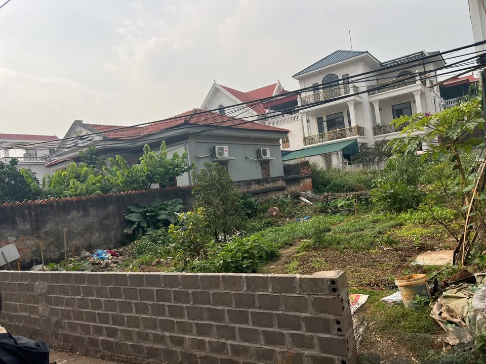 Đất thổ cư Tô Hiệu Văn Giang 257m² 14 tỷ - Sổ đỏ chính chủ