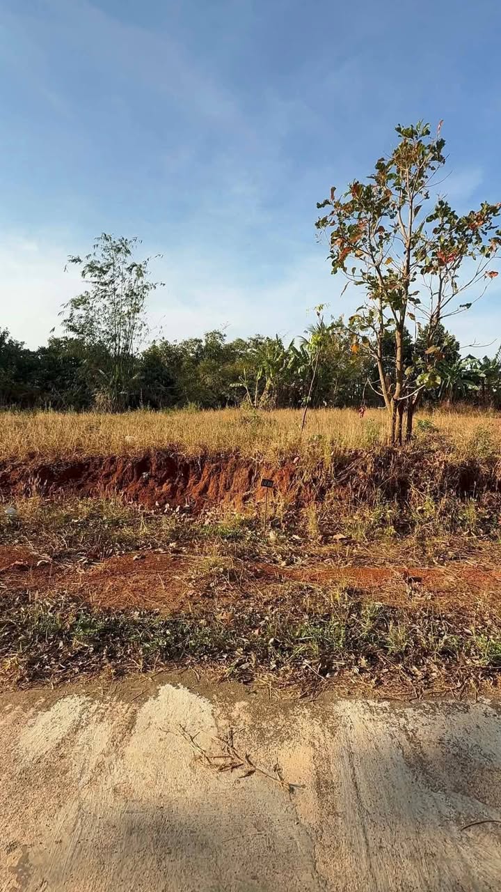 Đất nền Tuyến 2 Đồng Tâm 216m² 4xx triệu - Sổ đỏ chính chủ