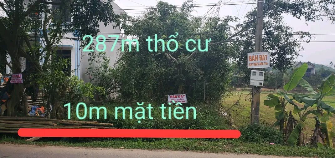 Đất nền xã Minh Tiến Hữu Lũng 287m² - Sổ đỏ chính chủ, xây dựng tự do